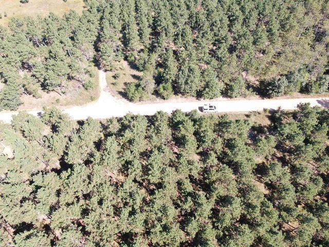 77 AC State Highway 13 Acres, Nekoosa, WI 54457