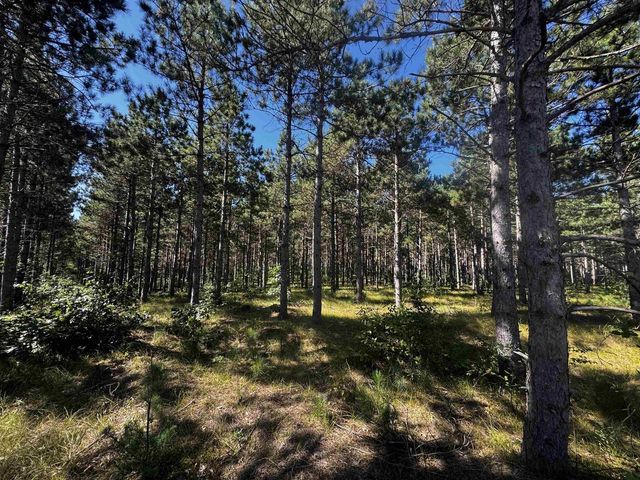 77 AC State Highway 13 Acres, Nekoosa, WI 54457