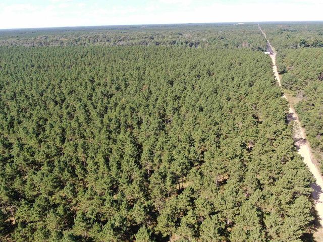 77 AC State Highway 13 Acres, Nekoosa, WI 54457