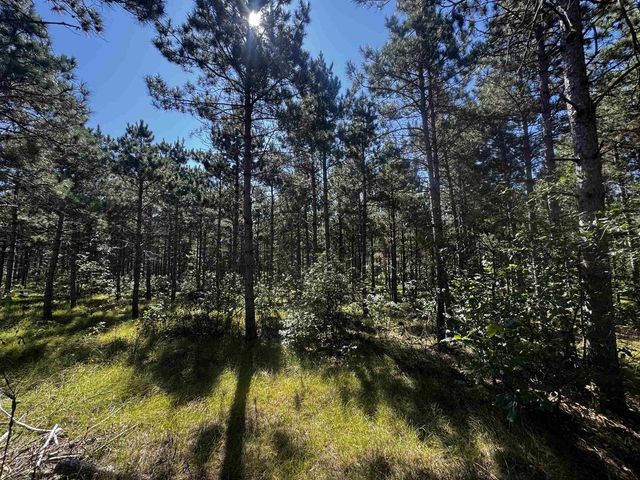 77 AC State Highway 13 Acres, Nekoosa, WI 54457