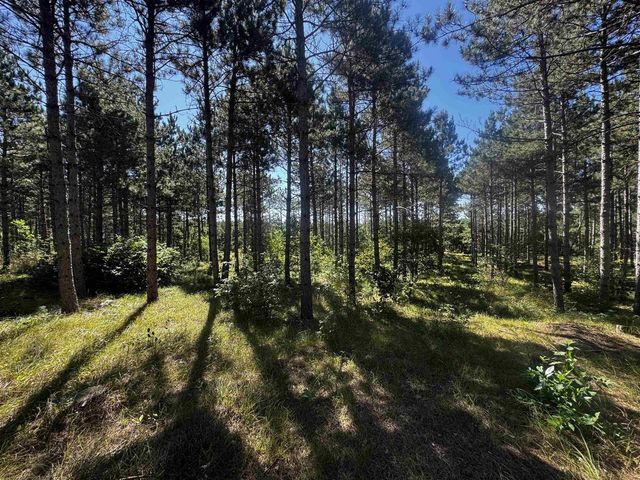 77 AC State Highway 13 Acres, Nekoosa, WI 54457