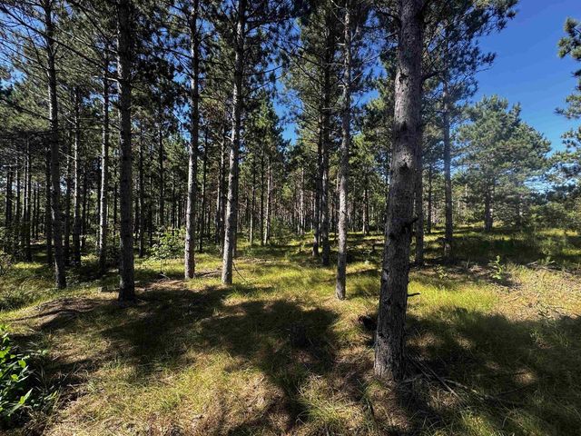 77 AC State Highway 13 Acres, Nekoosa, WI 54457