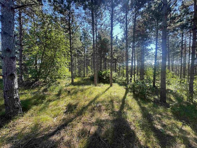 77 AC State Highway 13 Acres, Nekoosa, WI 54457