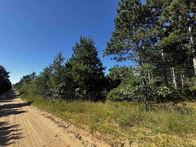77 AC State Highway 13 Acres, Nekoosa, WI 54457