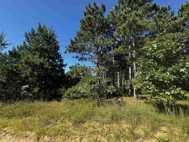 77 AC State Highway 13 Acres, Nekoosa, WI 54457