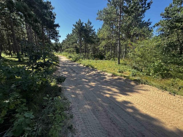 77 AC State Highway 13 Acres, Nekoosa, WI 54457