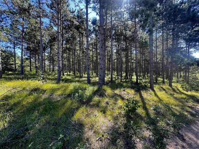 77 AC State Highway 13 Acres, Nekoosa, WI 54457