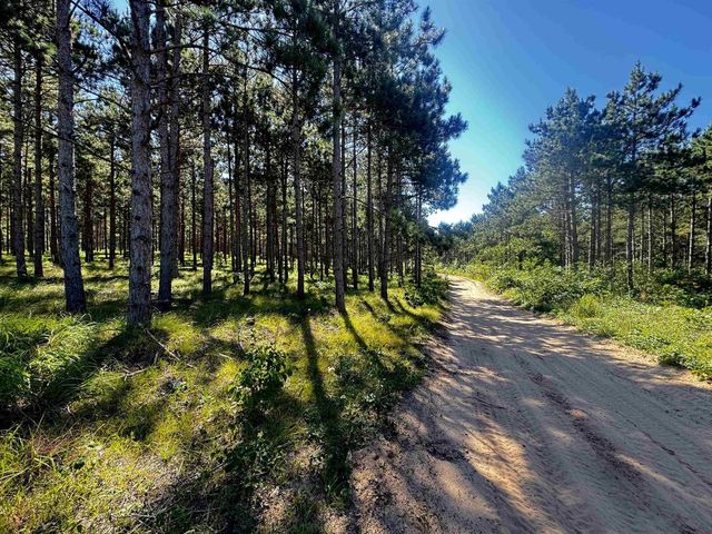 77 AC State Highway 13 Acres, Nekoosa, WI 54457