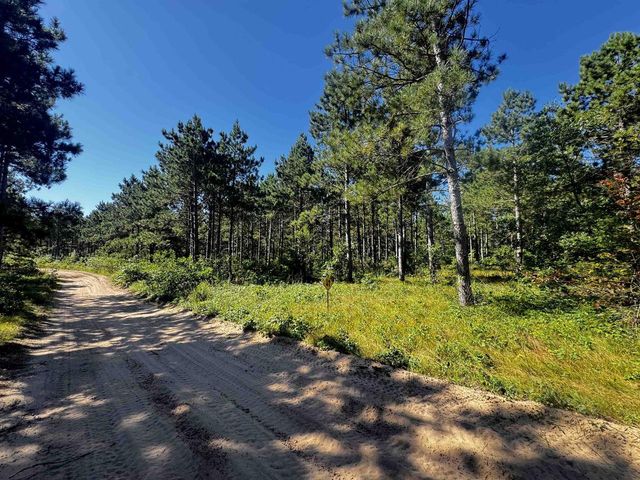 77 AC State Highway 13 Acres, Nekoosa, WI 54457