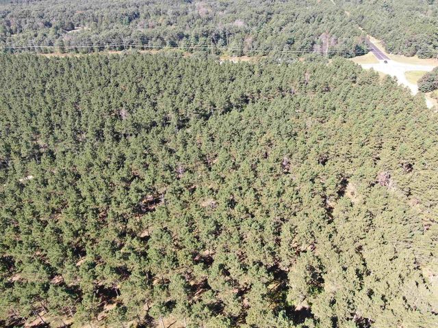 77 AC State Highway 13 Acres, Nekoosa, WI 54457