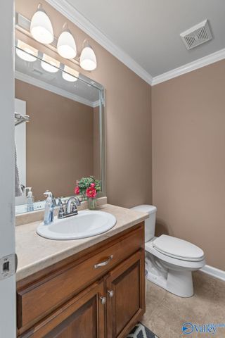 3709 Chartwell Court, Decatur, AL 35603
