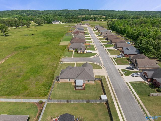 3709 Chartwell Court, Decatur, AL 35603