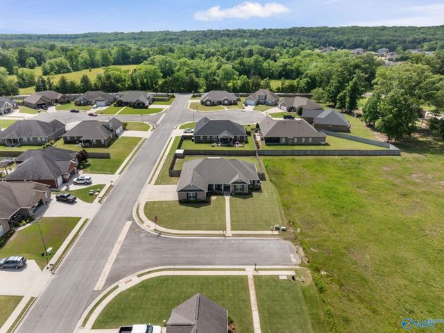 3709 Chartwell Court, Decatur, AL 35603