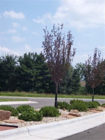 L125 Lucas Lane, Sun Prairie, WI 53590