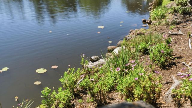 552 Bean Creek Road 30, Scotts Valley, CA 95066