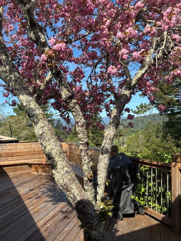 552 Bean Creek Road 30, Scotts Valley, CA 95066
