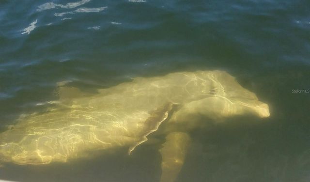 184 COLONY POINT DRIVE, Punta Gorda, FL 33950