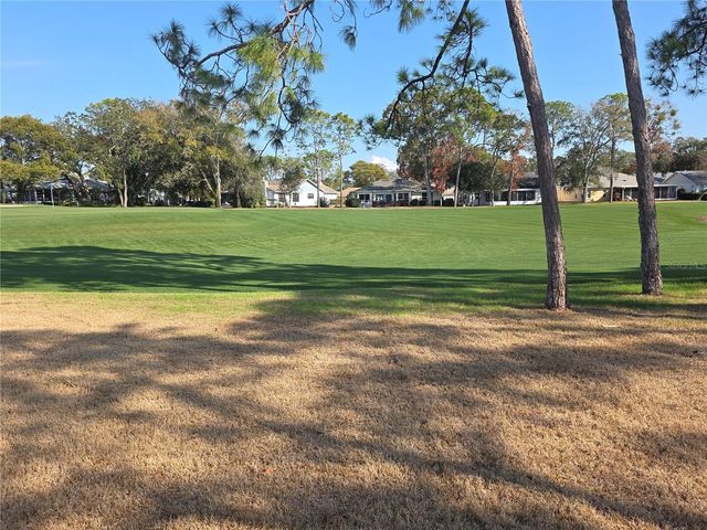 2376 BENT PINE COURT, Spring Hill, FL 34606