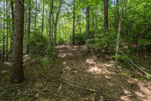 4.2 acre Donley Road, Murphy, NC 28906