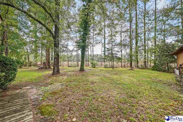 4701 Othello Rd, Coward, SC 29530