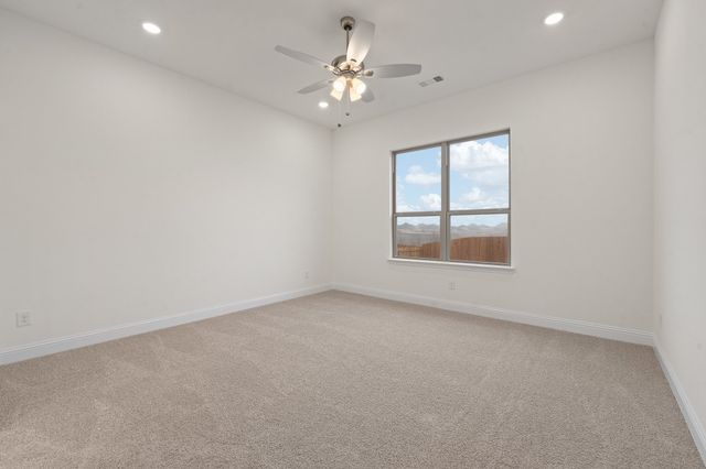 10309 Livestock Avenue, Venus, TX 76084