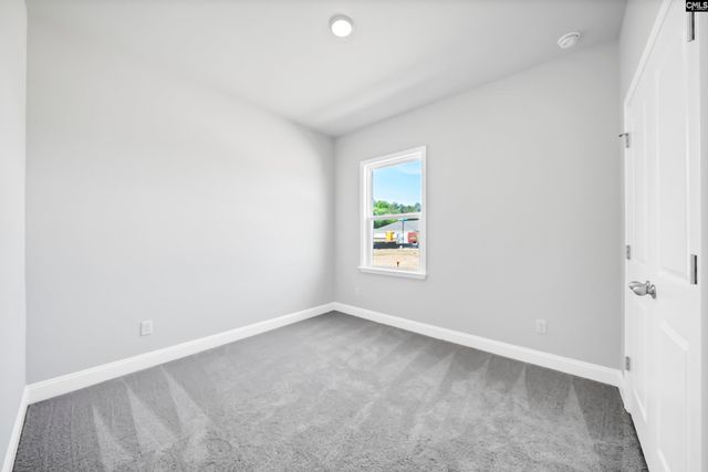 145 Monroe Preserve Drive, Chapin, SC 29036