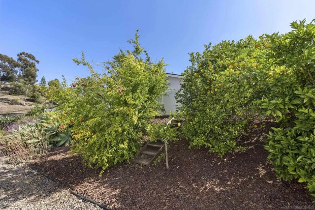 16172 Selva Dr, San Diego, CA 92128