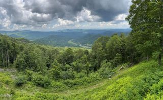 Tbd Log Cabin Lane, Roan Mountain, TN 37687