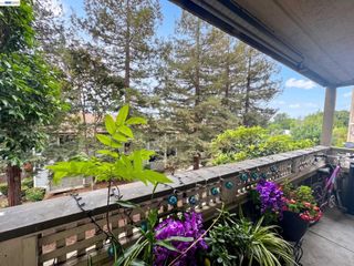 29599 Vanderbilt St 204, Hayward, CA 94544
