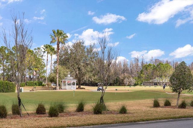 1237 RAMBLING VINE COURT, Trinity, FL 34655