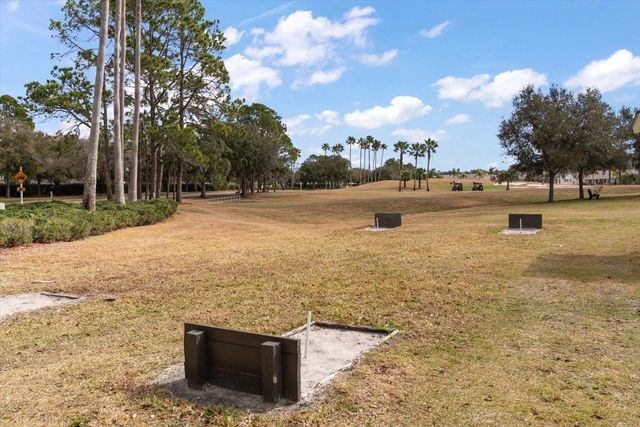 1237 RAMBLING VINE COURT, Trinity, FL 34655