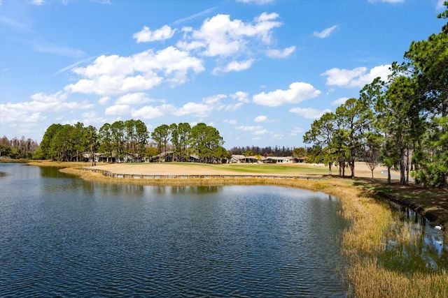 1237 RAMBLING VINE COURT, Trinity, FL 34655