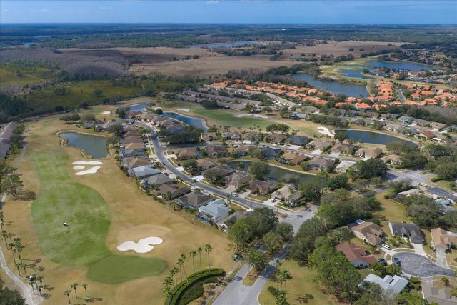 1237 RAMBLING VINE COURT, Trinity, FL 34655