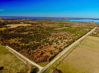 Lot 9 Farm to Market 1743, Honey Grove, TX 75446