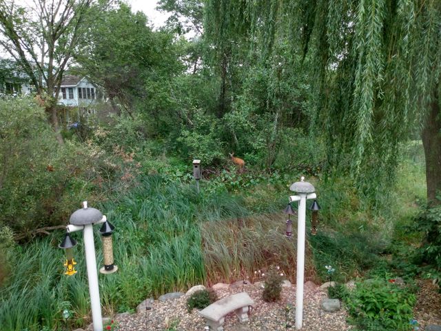 5670 Heather Ridge Drive, Shoreview, MN 55126