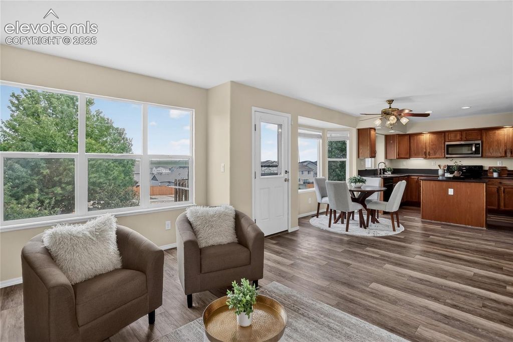 3893 Roan Drive, Colorado Springs, CO 80922 — photo 3