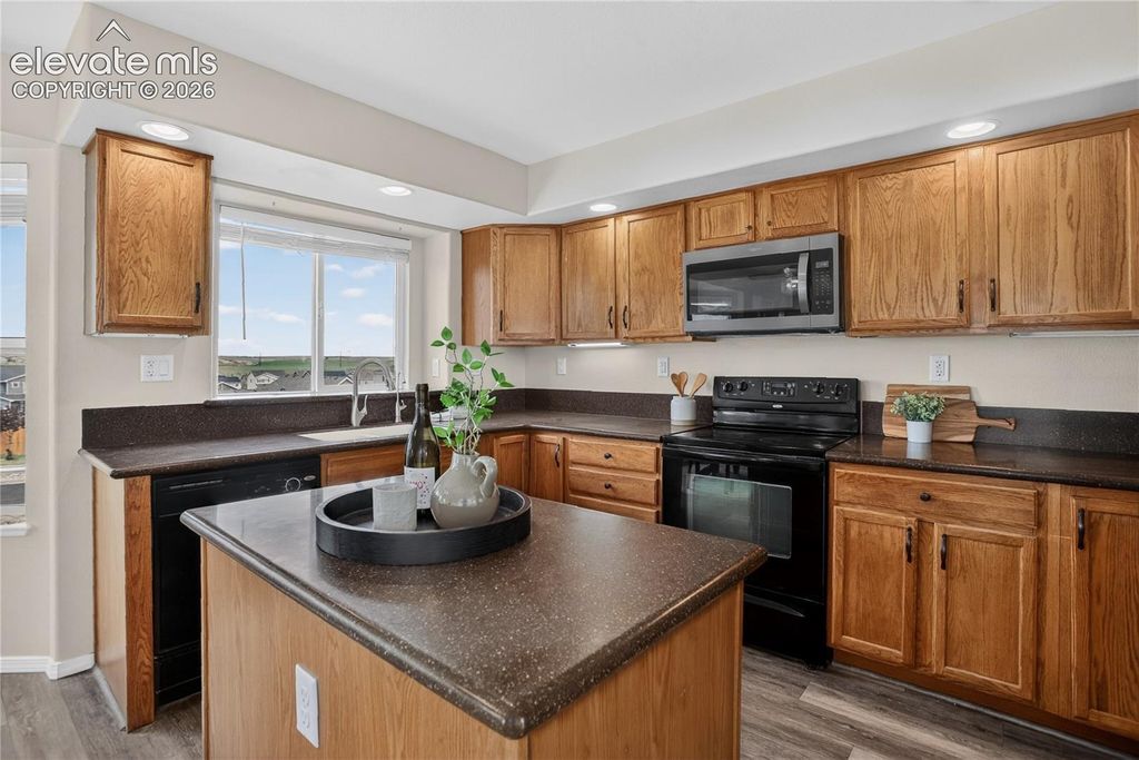 3893 Roan Drive, Colorado Springs, CO 80922 — photo 4