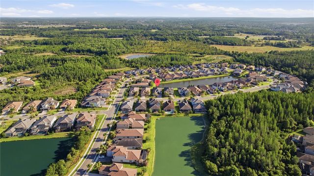 31490 CHESAPEAKE BAY DRIVE, Wesley Chapel, FL 33543