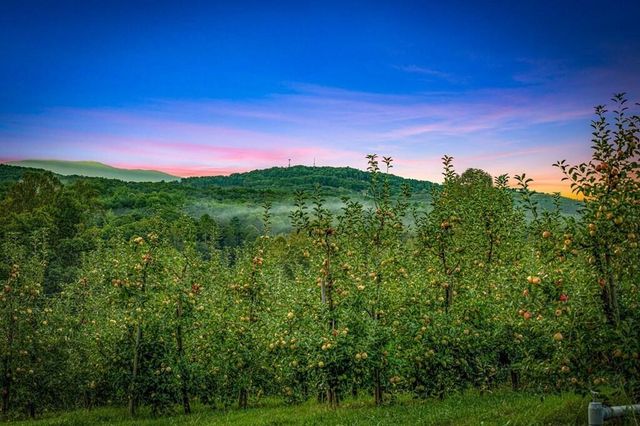 1241 Scenic Drive, Blue Ridge, GA 30513