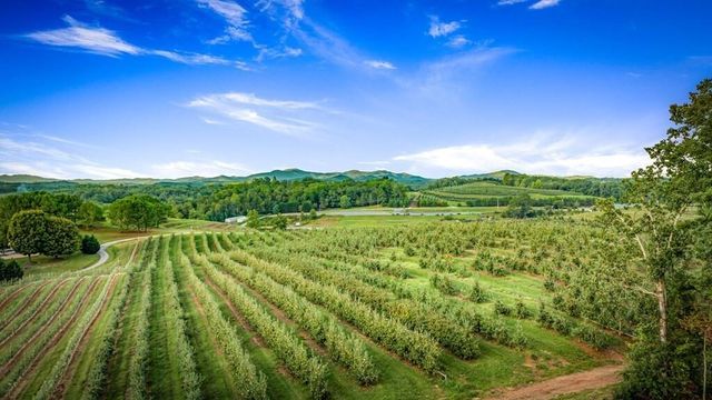 1241 Scenic Drive, Blue Ridge, GA 30513