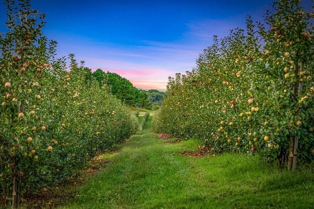 1241 Scenic Drive, Blue Ridge, GA 30513