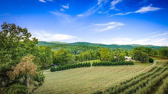 1241 Scenic Drive, Blue Ridge, GA 30513