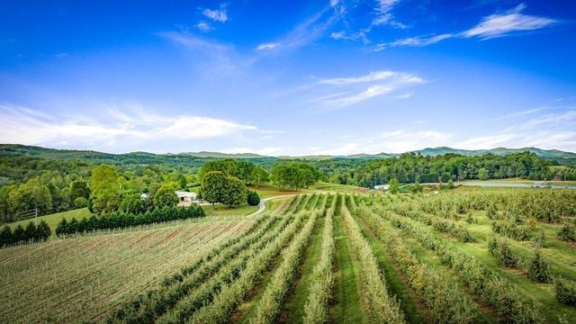 1241 Scenic Drive, Blue Ridge, GA 30513