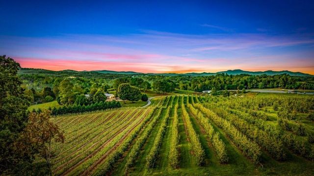 1241 Scenic Drive, Blue Ridge, GA 30513