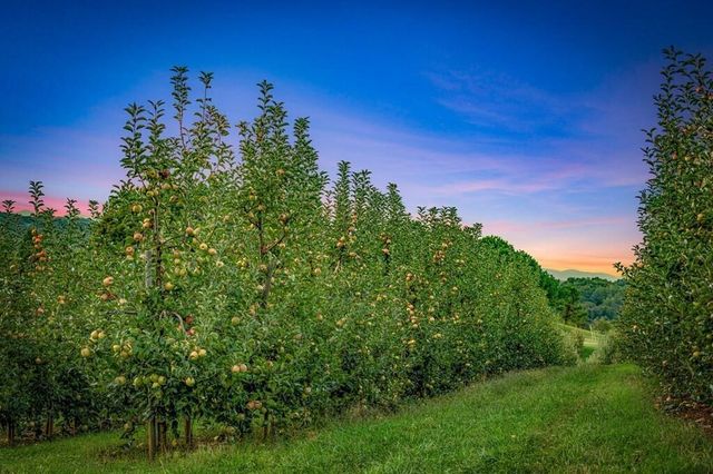 1241 Scenic Drive, Blue Ridge, GA 30513