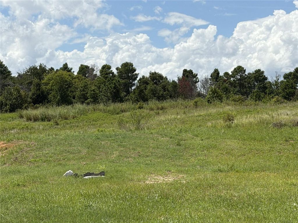 16813 BOLSENA DRIVE, Bella Collina, FL 34756