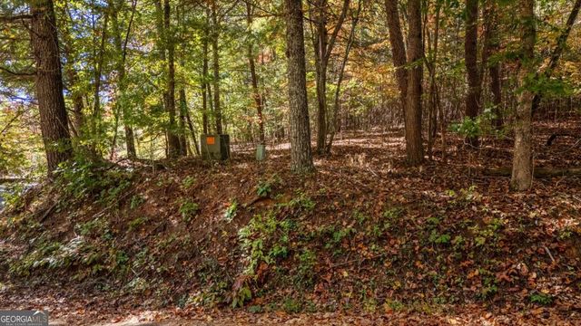 LOT 1 Twin Mountain Road, Hiawassee, GA 30546