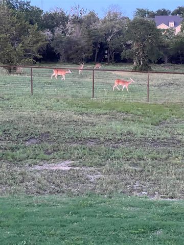 1052 Winecup Lane, Weatherford, TX 76085