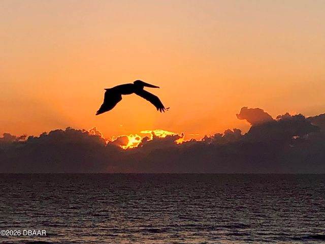 3811 S Atlantic Ave Unit 502, Daytona Beach Shores, FL 32118