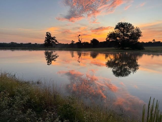 Lot 23 FM 514 Road, Yantis, TX 75497